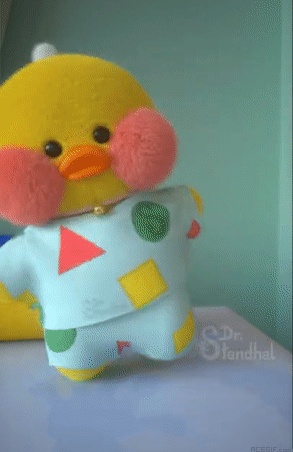 Lalafanfan Duck GIFs - 30 Animated Pictures