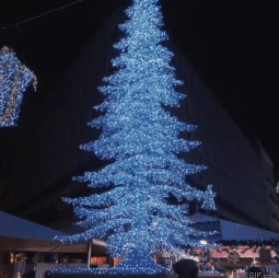 19-blue-sparkling-christmas-tree-acegif