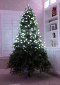 23-blured-christmas-tree-acegif