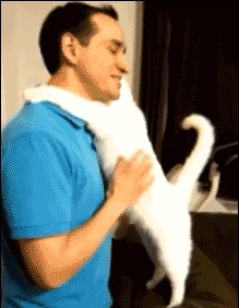 cat-hug-17-cat-hugs-human