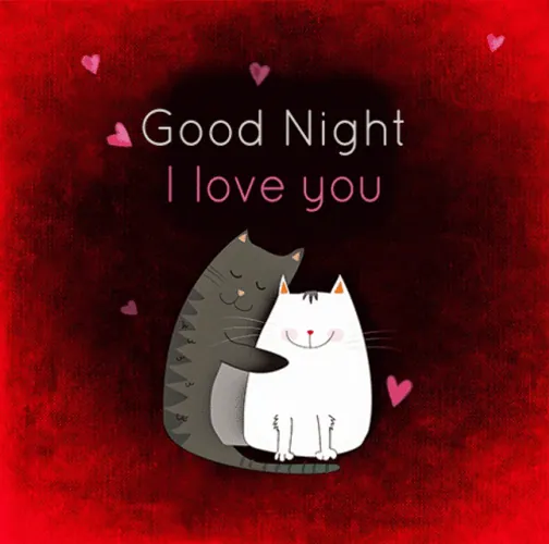 сердитые гифки  Cat-hug-32-i-love-you-good-night.gif