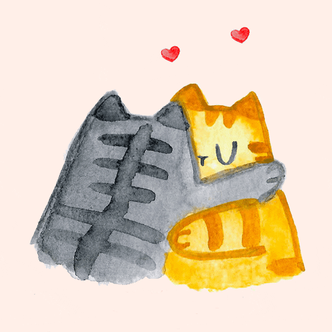 cat-hug-42-cats-hugs-with-love