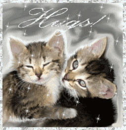 cat-hug-43-hugs-card-celebration
