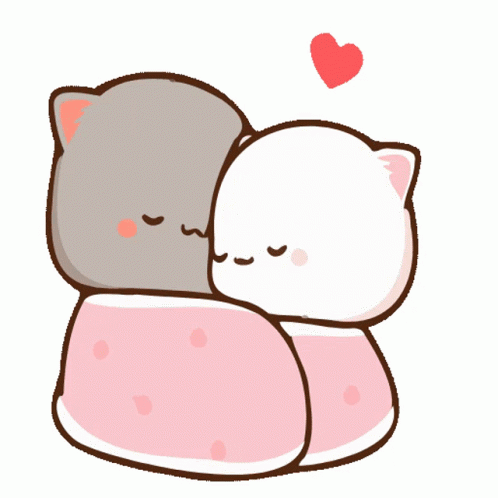 cat-hug-50-warm-cats-in-blanket