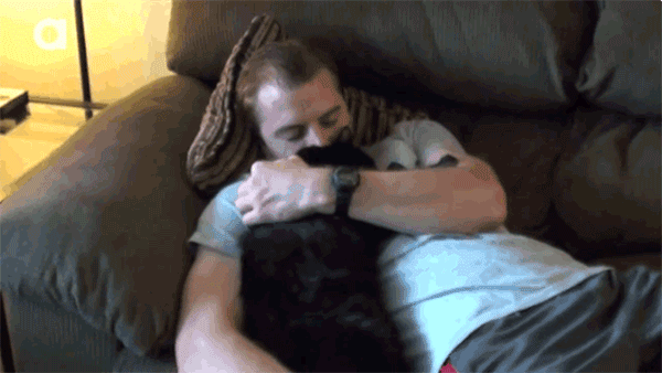 cat-hug-55-cat-human-hugs-on-sofa
