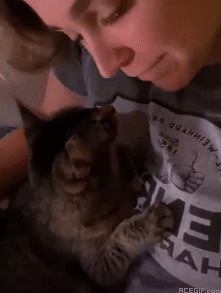 cat-hug-8-cute-selfie-hugs-with-cat-acegif