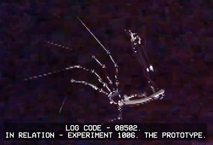 Le GIF dell'Esperimento 1006