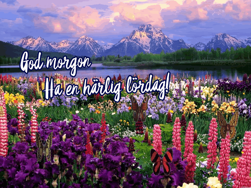 God Morgon L rdag GIF 50 R rliga GIF bilder