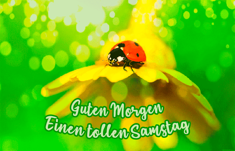Guten Morgen Samstag GIFs 50 Animierte Gru karten