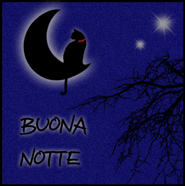 Buonanotte-gif-58