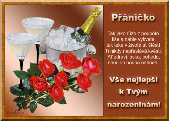 GIF-pranicka-k narozeninam-19