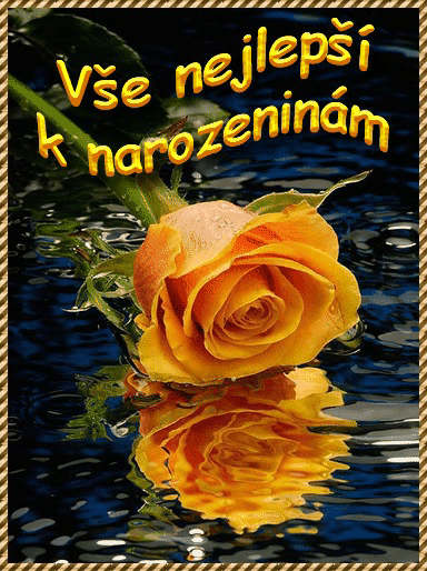 GIF-pranicka-k narozeninam-38