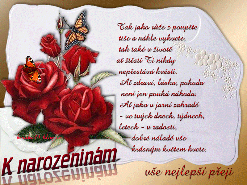 GIF-pranicka-k narozeninam-53