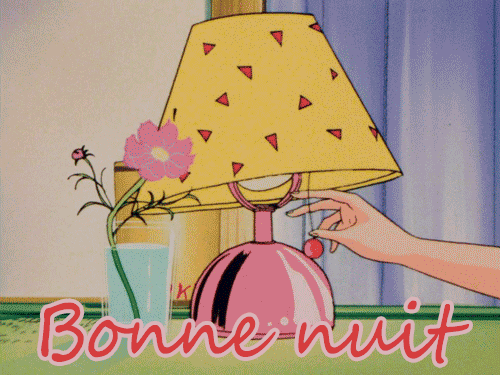 GIFs 'Bonne Nuit': Doux Rêves en Animation!