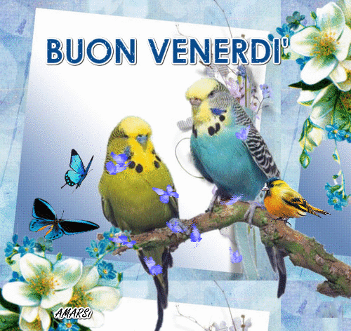 buon venerdi-gif-19
