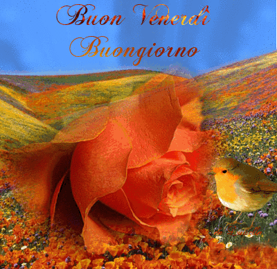 buon venerdi-gif-27