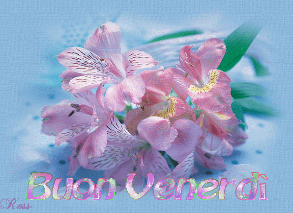 buon venerdi-gif-35