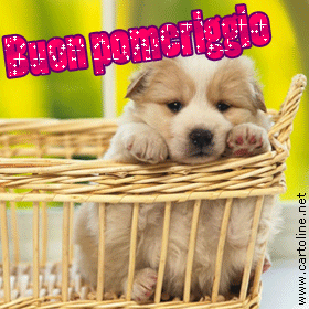 buon-pomeriggio-gif-36