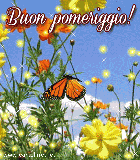 buon-pomeriggio-gif-42