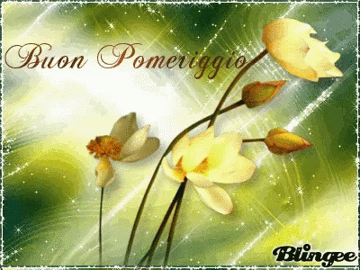 buon-pomeriggio-gif-93