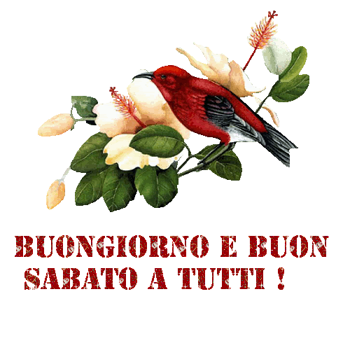 buon-sabato-29