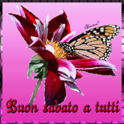 buon-sabato-67