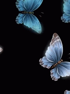 Animacja GIF pięknych motyli