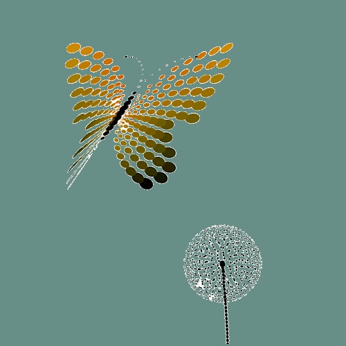 GIF-Animation von schönen Schmetterlingen