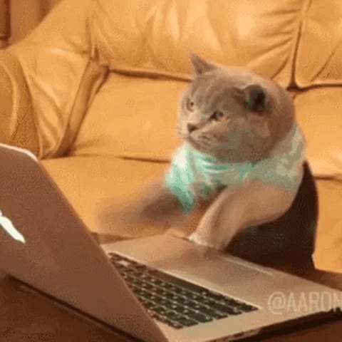 GIF: skriva katter. Roliga kattungar med tangentbord (25 stycken)