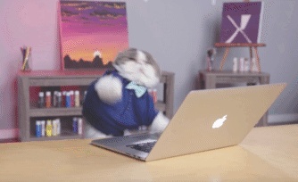 猫のタイピングGIF 猫がキーボードでメッセージを入力して送信しているGIF