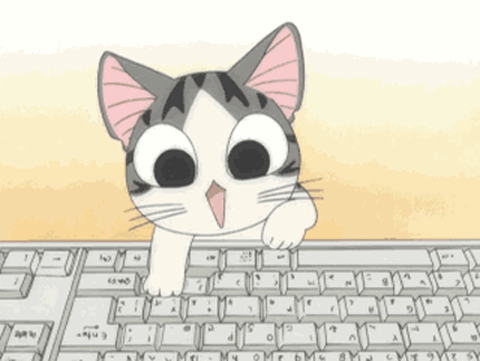 GIF: kočky psát na klávesnici. Legrační koťata s klávesnicí (25 kusů)