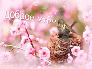 dobroe-utro-m