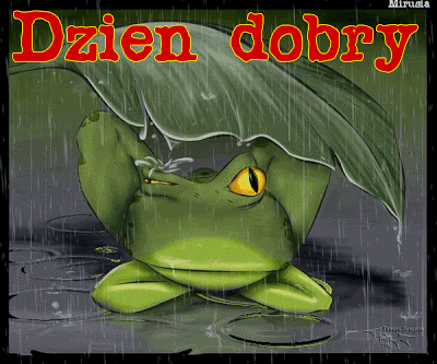dzien-dobry-gify-103