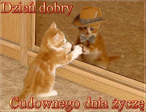 dzien-dobry-gify-46