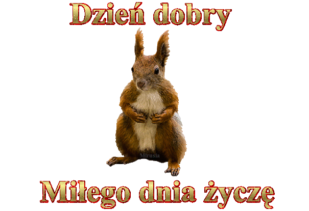 dzien-dobry-gify-63