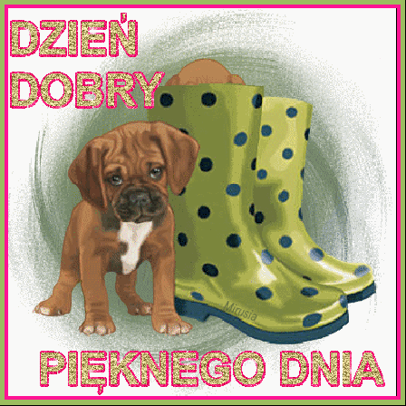 dzien-dobry-gify-74