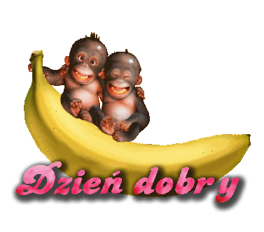 dzien-dobry-gify-87
