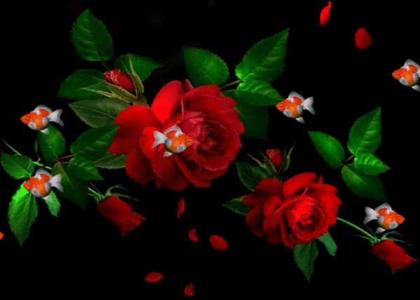 GIFer av blommor - Vackra buketter, blommande knoppar