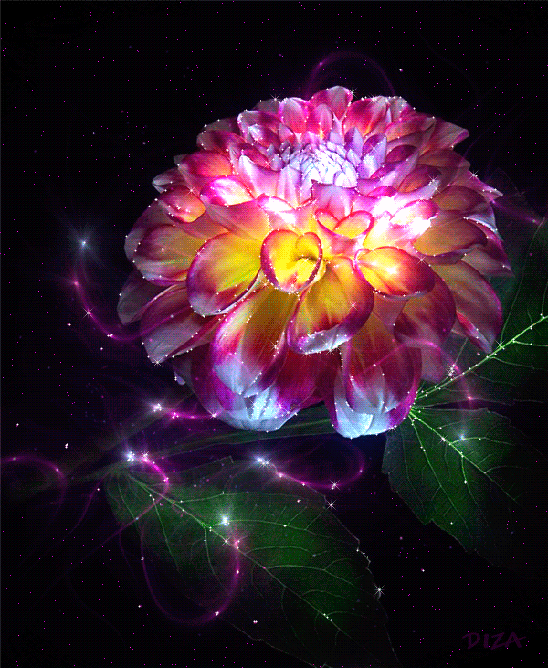 flowers (48)