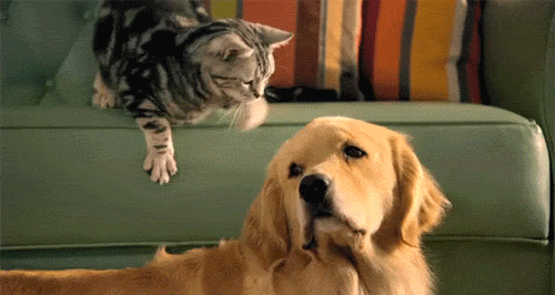 Funny GIFs Friendship, Friends - 102 Pieces of Animated Pictures