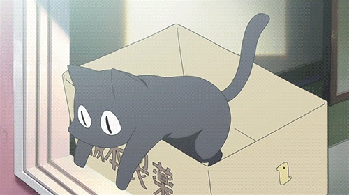 Lustige Anime GIFs - 90 Animierte Bilder