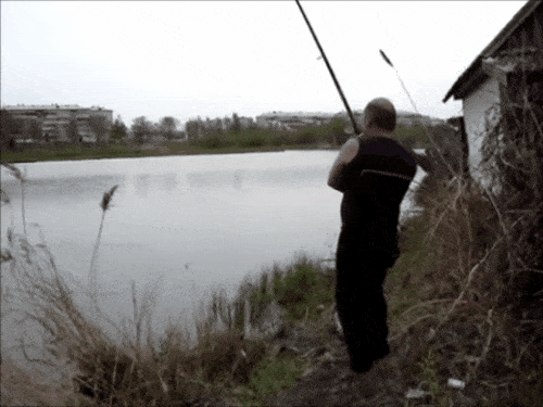 Смешные гифки Рыбалка - 73 GIF анимации о ловле рыбы