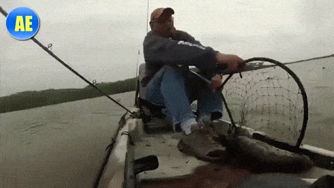 Funny Fishing GIFs 73 Animated Pictures USAGIF Funny Fishing GIFs 73 Animated Pictures USAGIF
