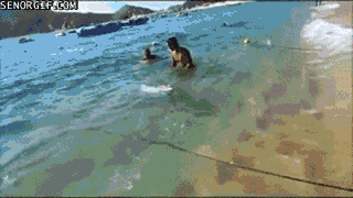 GIFs Engraçados da Pesca - 73 peças de imagens animadas sobre pesca