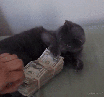GIF Peníze - Padající bankovky, počítání, házení peněz