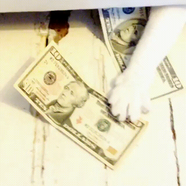 Le GIF con i soldi - Banconote che cadono, soldi che vengono contati e gettati