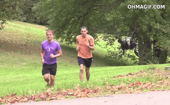 Funny Running GIFs - Rushing home, from work, to friends - 80 pcs