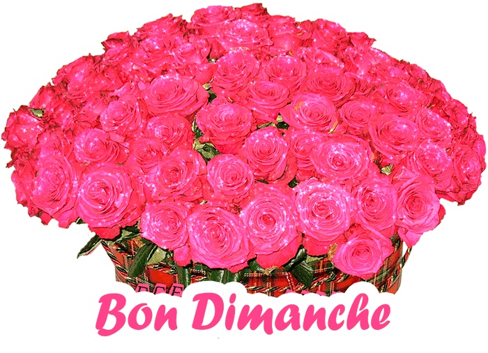 Bon Dimanche GIFs - 90 images animées gratuitement! – USAGIF.com