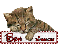 gif-bon-dimanche-99