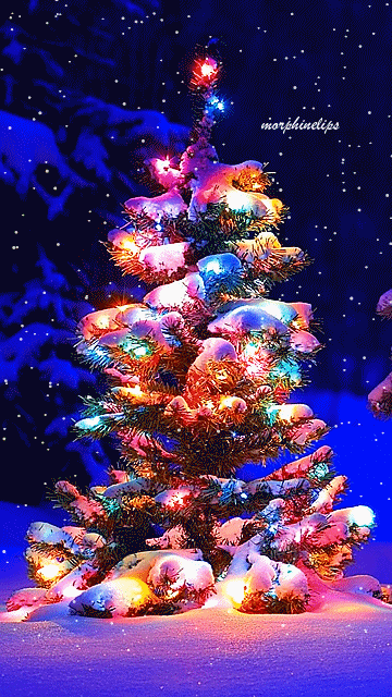 gif-christmas-tree-13